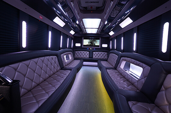 sound system on limo